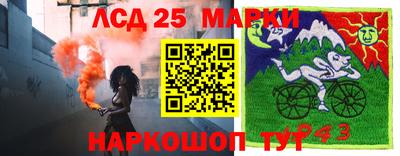 спиды Коммунар